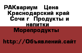 РАКвариум › Цена ­ 400 - Краснодарский край, Сочи г. Продукты и напитки » Морепродукты   